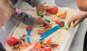 children hands playing in a box with different toys and textures
